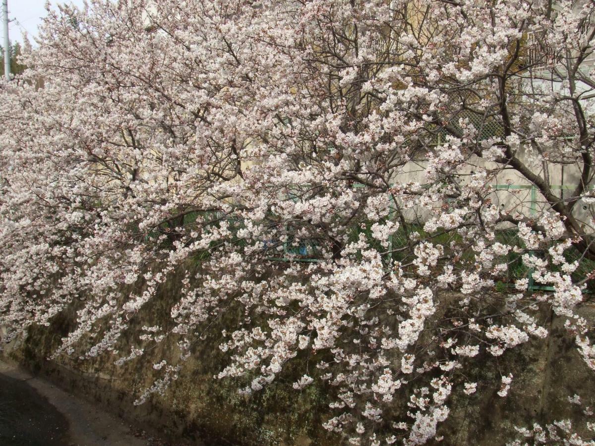 Kyoto Narutaki Keisenso Hotel Екстериор снимка